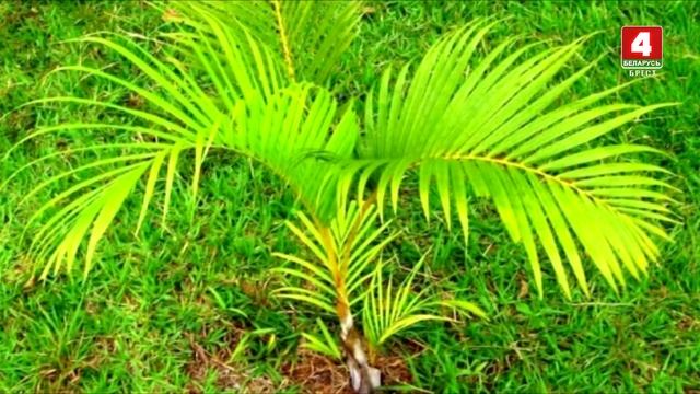 Детское время 30-08-20