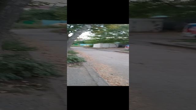 6195b28462e8c7784472ac437c84641c