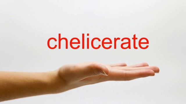 How To Pronounce Chelicerate - American English