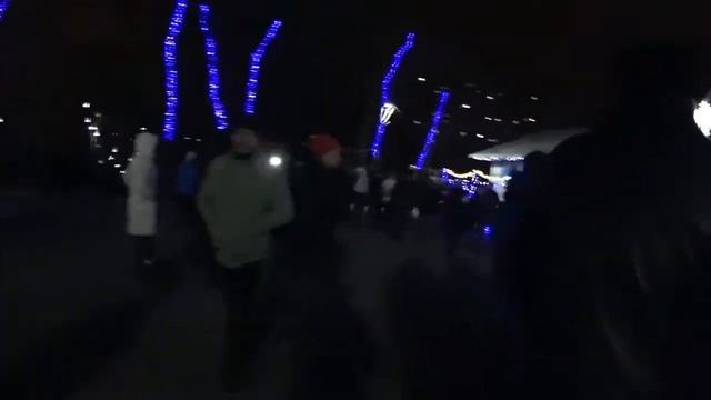 Открытие елки в парке 