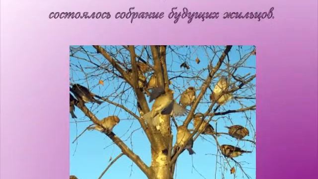 Весенние трели