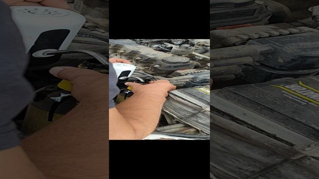 София Пахальчук