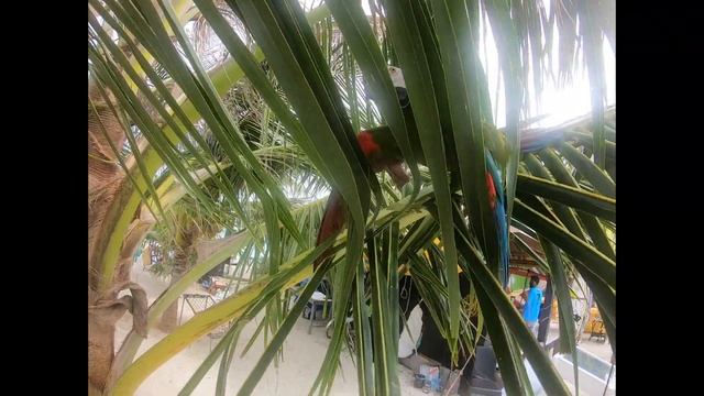 5d821de8d21768f1fdd4bf3bf6ea423c