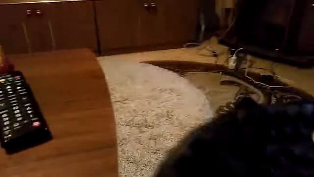 Обзор на сороконожки Nike Vortex 2 TF! И спиннер