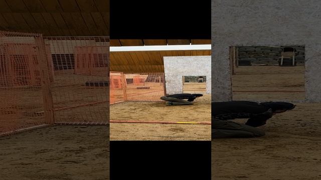 Стрельба из неудобного положения