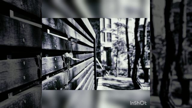 0b0b85e4c23dafdc7a9b1006d7db0459