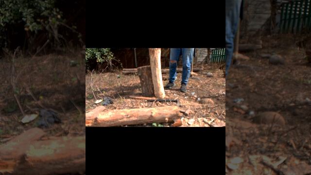 раскол бревна вдоль