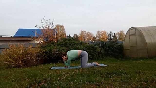 B2d3cc4ac575d50dc2397d953d5774ad