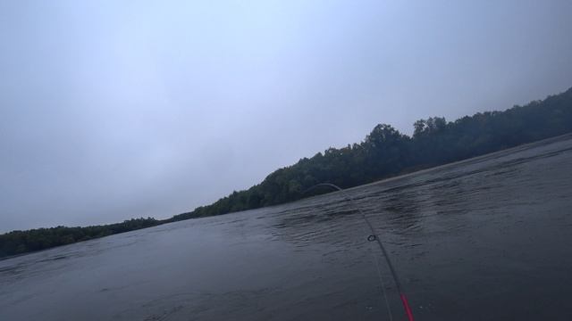 Река Гольцовка. Участок №731. Рыбалка на кижуча. Часть вторая. #камчатка #кижуч