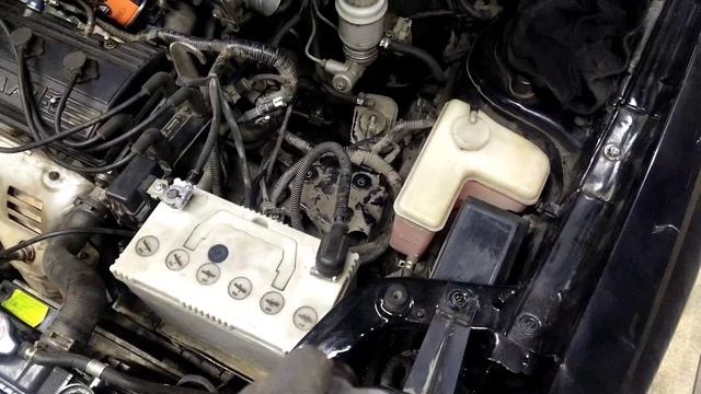 Макс хранитель