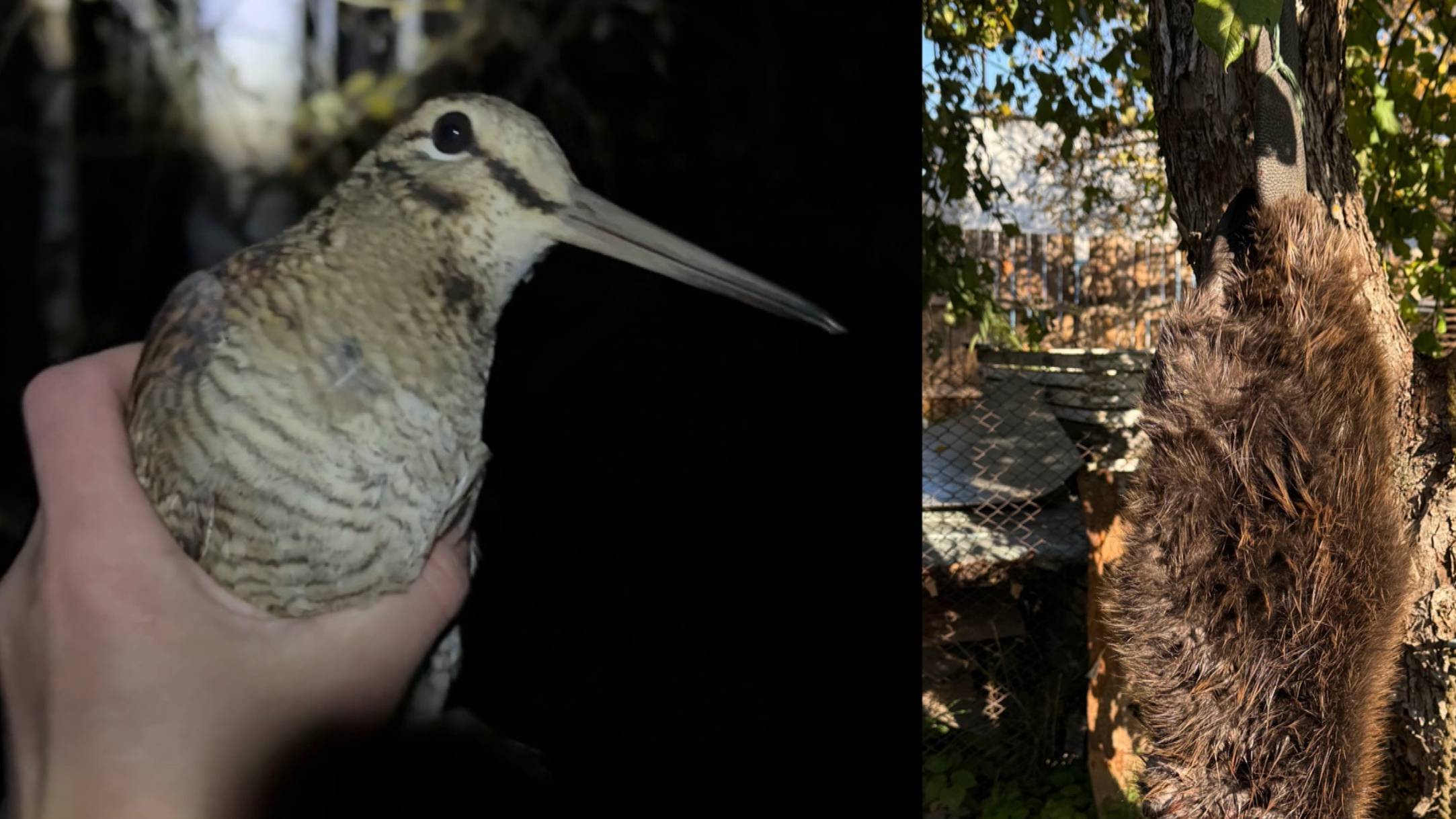 A0f3645c176d8ca548607f1706728001