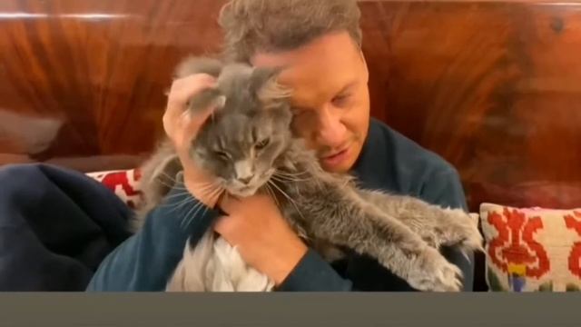 Александр Олешко показал своих больших котов