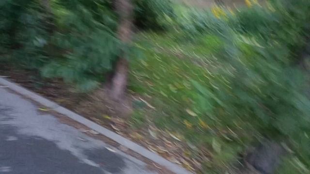 Женю подменили😢😦