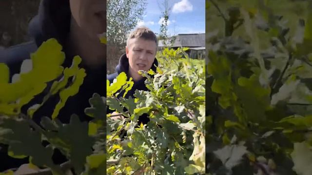 Конечно сломаю. #humor #instagram #tiktok #youtubeshorts #семья #приколы