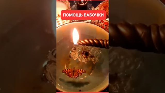 БЫСТРОЕ РЕШЕНИЕ #онлайн #ритуал #shorts #светланаведа