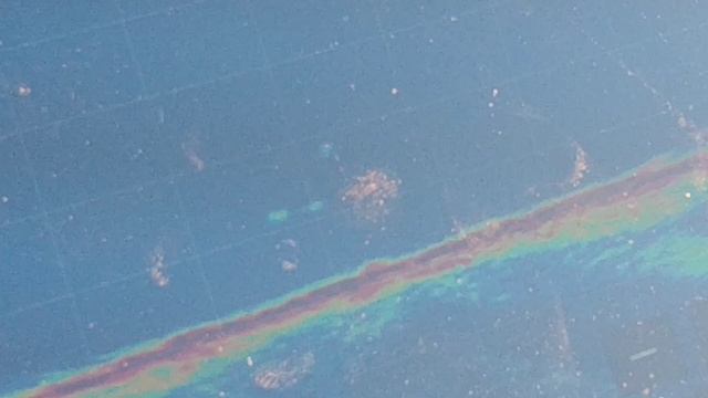 ЗАКРЫТИЕ СОМОВЬЕГО СЕЗОНА 2024!