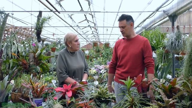 A62524634278874d5c618d37ba7a0e53