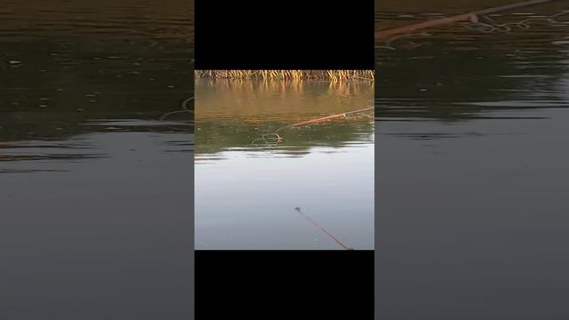 442037ff6121e22c8ac9f0938654f780