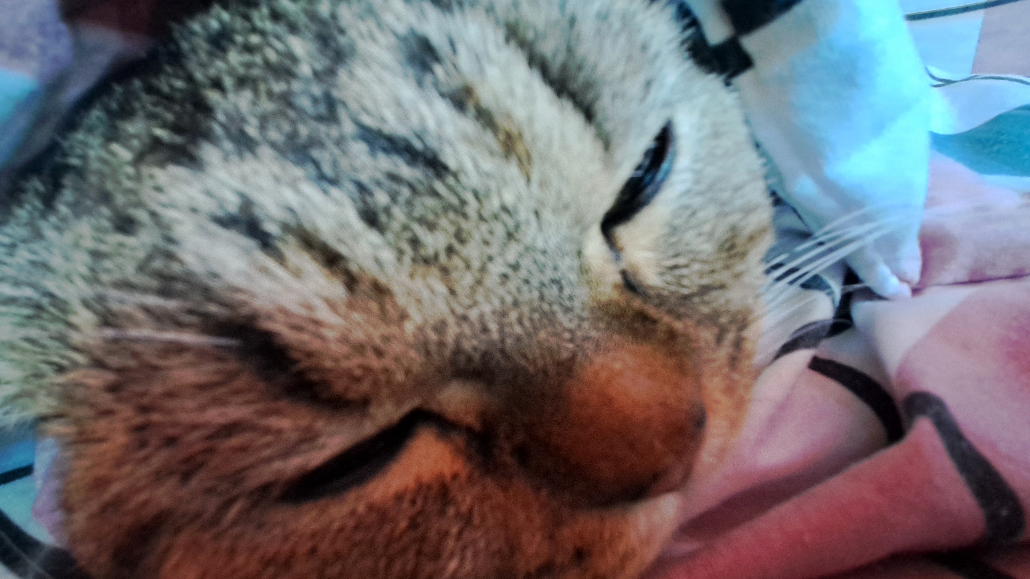 стрим видоы