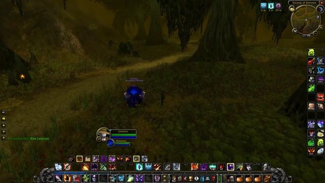 WoW Classic HC Gromers #41 HC Level 37+