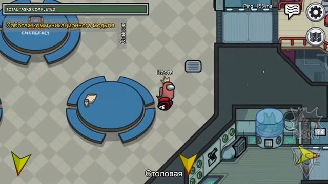 Что такое АМОНГАС? 16+