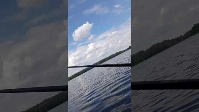 РЫБАЛКА НА ЧКАЛОВСКИХ КАРЬЕРАХ! Ловля жериха!