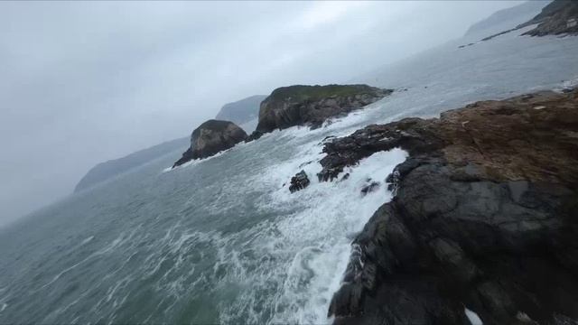 Évszakok Tánca (dj Sasha Official Music 2024)