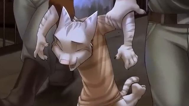 Culinary Connections