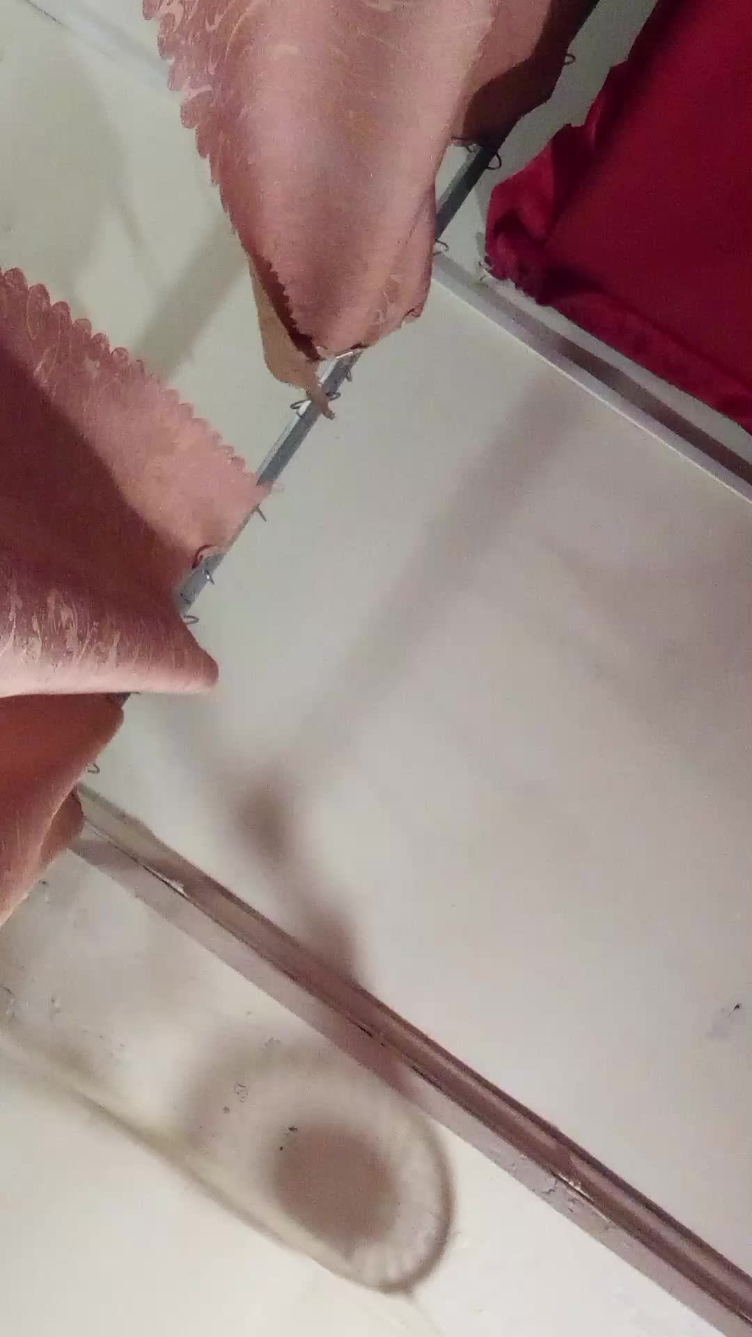 2e6fb1479591f6485ca0d8ab04cb5878