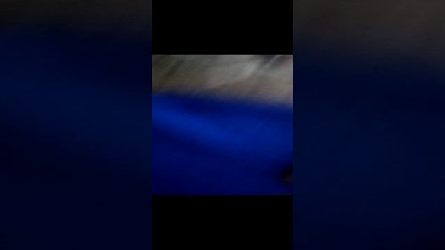 Как сделать уютный уголок для Басиков и Лили
/\_/\
| ° _°|
/﹥❤️