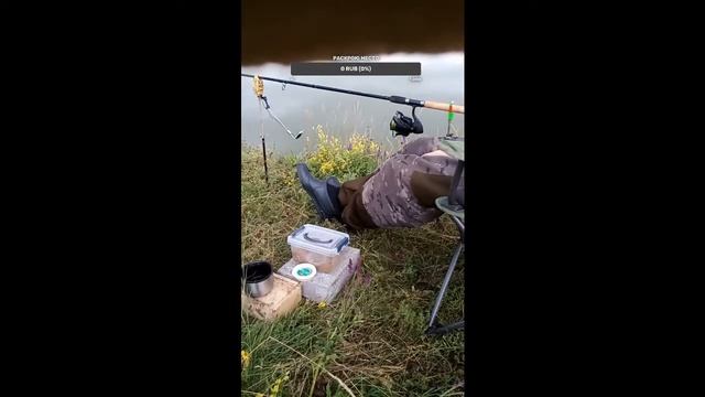 Флэт фидер на леща