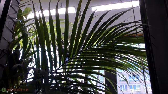 72874f6df51f3c75b9e0546b9b41a2fd