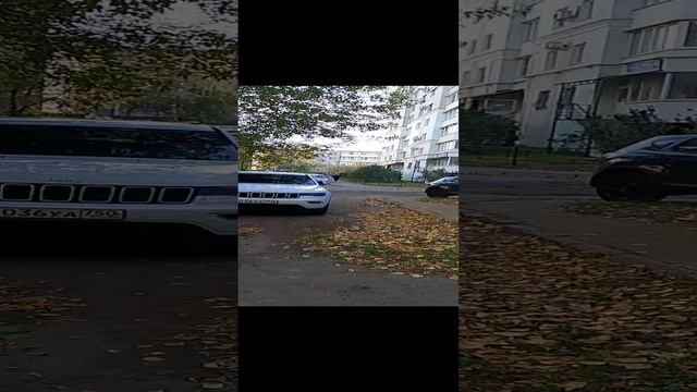 VID_20241002_104415