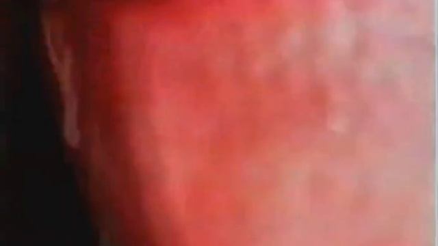 ГABHOOOO!!! Зелёный слоник Лютый вин