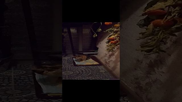 VID_20241004_131249