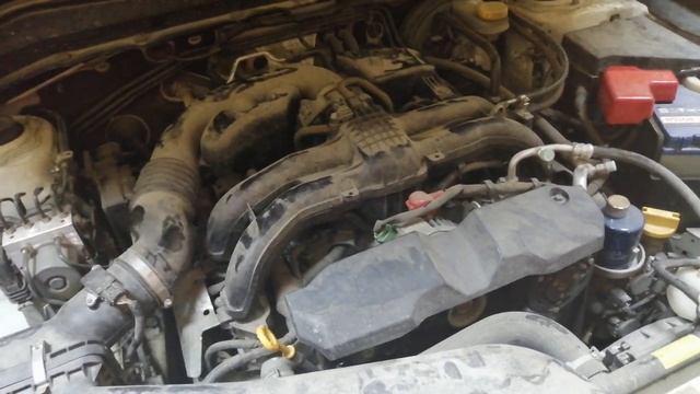 Отзыв о масле Polymerium XPRO2 0W-20 после 200 м/ч