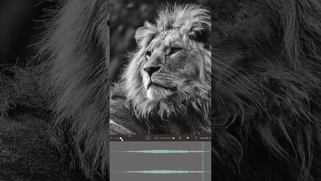 Питч обработка, саунддизайн в кино #кино #саунддизайн #звуки #звуквкино #sounddesign