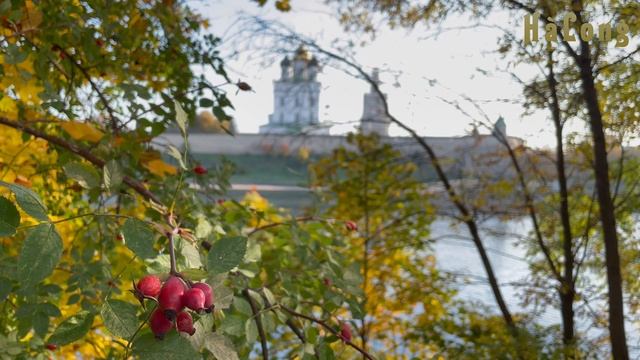 PSKOV  02.10.1014