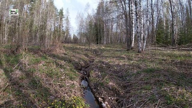 Интересные места в Костромской глуши. Покинутая дер. Якунино. Руины храмов под Чухломой. Мироханово.