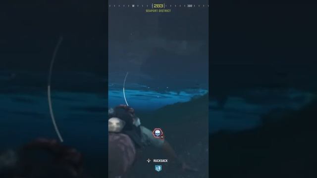 Always Remember To Take The Santa Shark Out For A Swim #1stpersonshooter #callofduty #cod #zombie