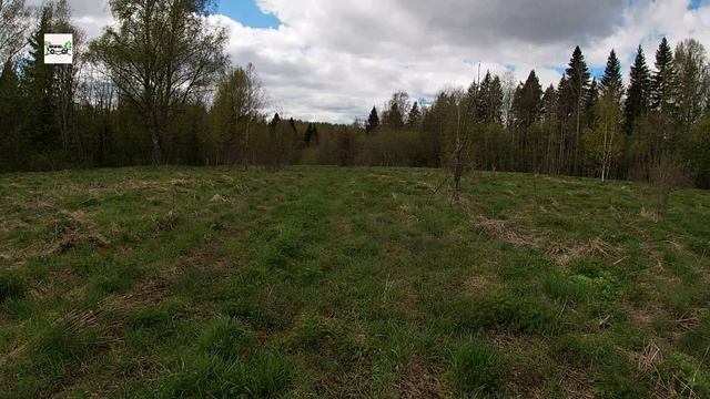 Весенние приключения в дебрях Костромской обл. Брод через Медянку. Дебри за Адищево. Урочище Погост.