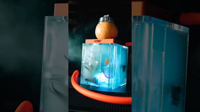 Видео для CHILL IN ZIL