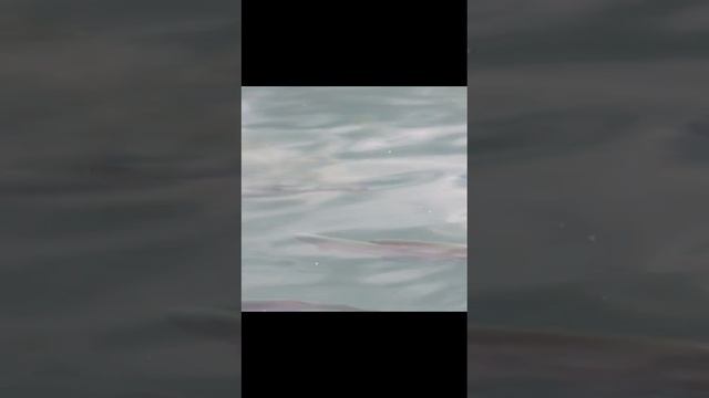 Где же моя удочка