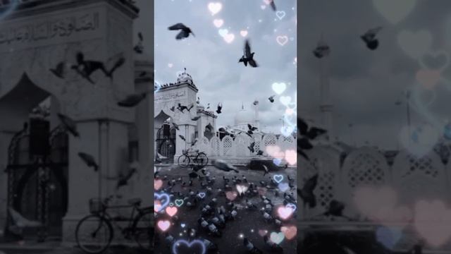 Ca40b8034c740c3761c28d106b930018