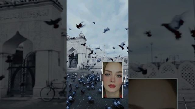 02481292a03cf3496d78d1b1be725dfe