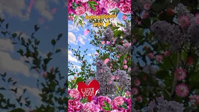 9d3eca80150833fa070366d480e6570f