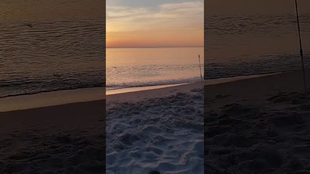 Жить нужно в кайф