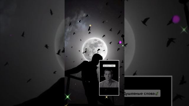 A959885c3b7ebe3b99974f54dafd0504