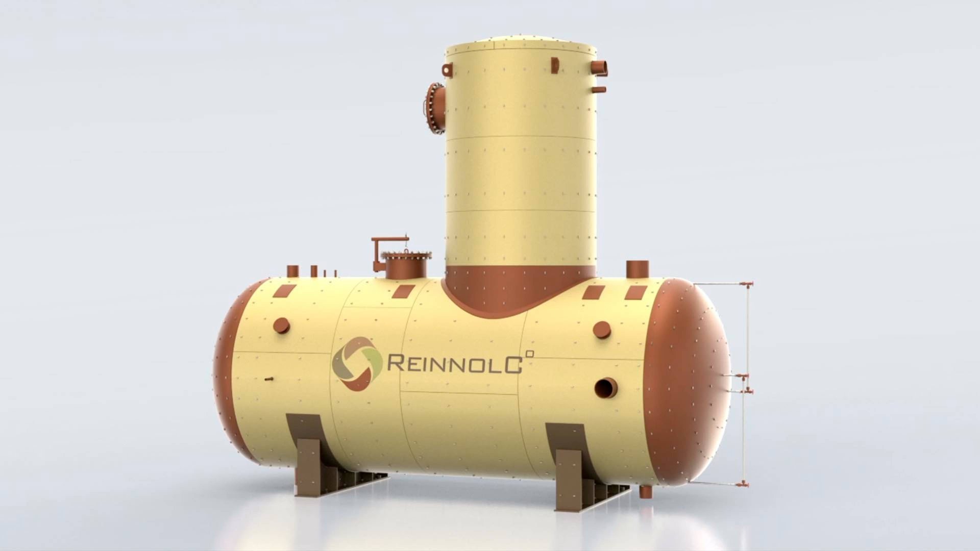 REINNOLC_2023_ENG