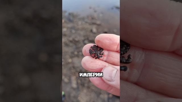 Двуглавый ОРЕЛ 🔥😎 - находка на дне реки с МЕТАЛЛОИСКАТЕЛЕМ #xpdeus2 #металлоискатель #коп #поиск